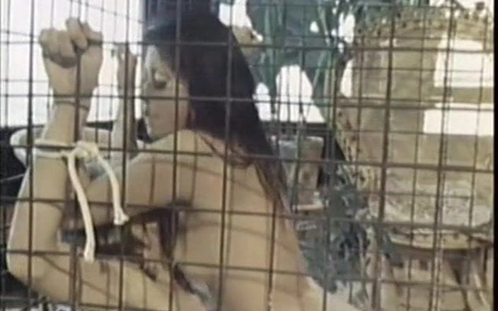 Beautiful Asian girl fucks slave in cage, then gets punished!