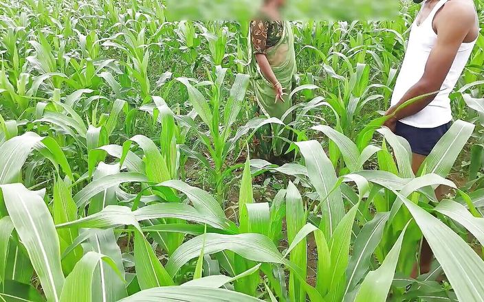 Bhabhi's Brother-in-law's Black Thick Cock Came and Was Fucked, Bhabhi's Sex in the Corn Field Outdoor Hindi Audio