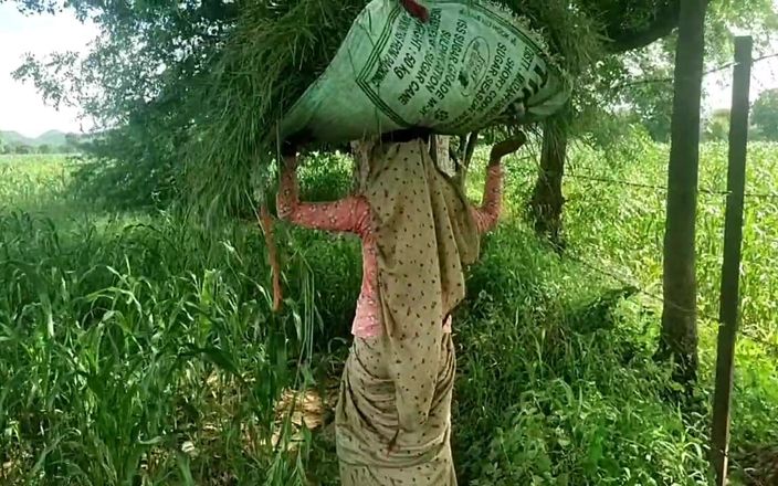 Brother-in-law Fucks Rajasthani in Millet Field
