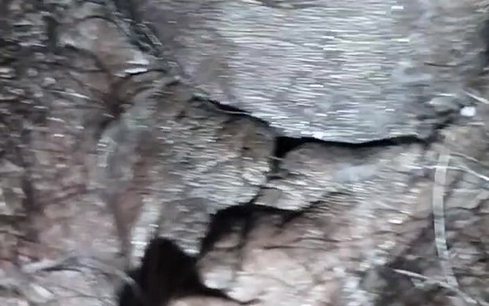 Couples My Wife Night Time Sex