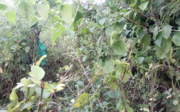 Indian Desi Bhabhi and Young Boy Forest Jungle Sex Videos in Hindi - Collage Girl Sex