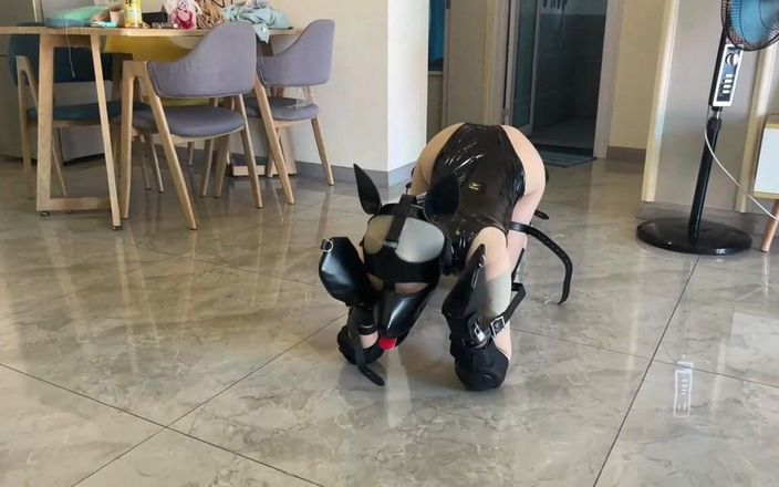 Training and Insulting My Sexy Girlfriend 10