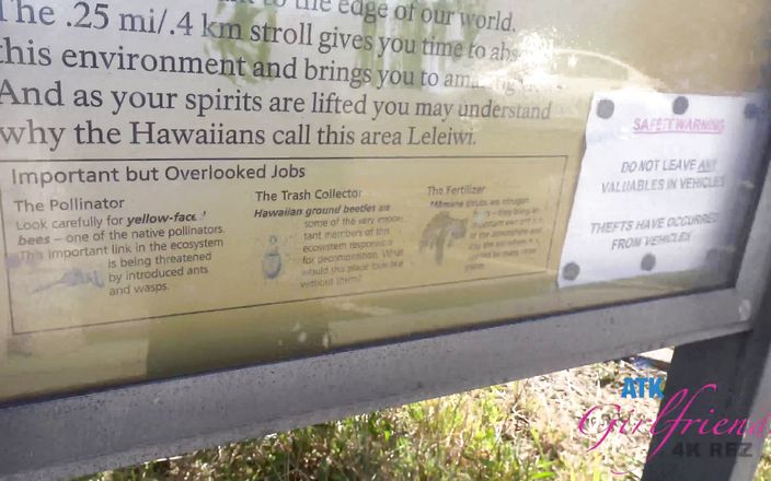 Virtual vacation in Hawaii with Sami Parker part 3